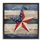 Stupell Industries Patriotic Star & Phrase Floating Frame By Susan Arnot